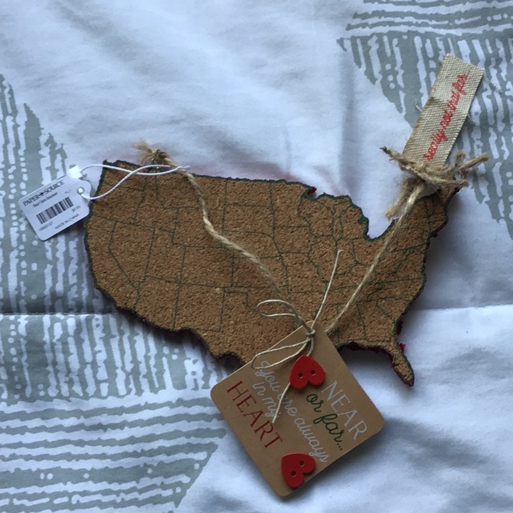 Long Distance Relationship Pin Board